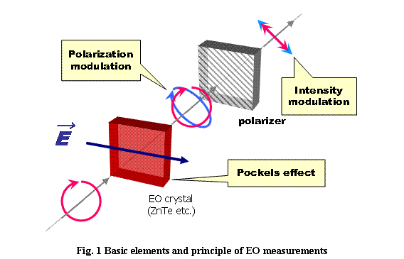 テキスト ボックス:  

Fig. 2 Basic elements and principle of EO measurements
