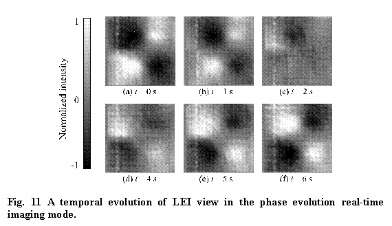 テキスト ボックス:  

Fig. 11 A temporal evolution of LEI view in the phase evolution real-time imaging mode. 
