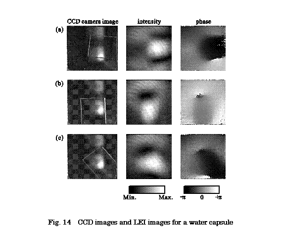 テキスト ボックス:  

Fig. 14  CCD images and LEI images for a water capsule
